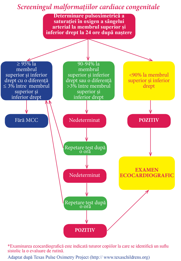 schema